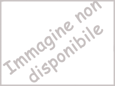 Foto non disponibile